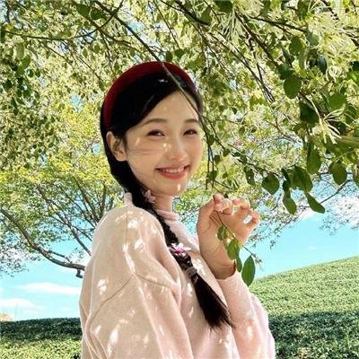 一根木头第二季